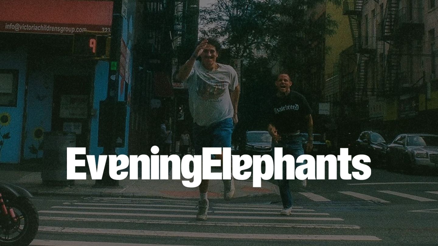 Evening Elephants at The Casbah